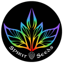Spirit Seeds